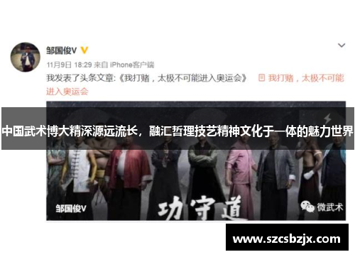 中国武术博大精深源远流长，融汇哲理技艺精神文化于一体的魅力世界