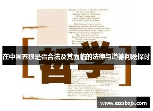 在中国养狼是否合法及其面临的法律与道德问题探讨