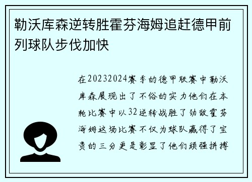 勒沃库森逆转胜霍芬海姆追赶德甲前列球队步伐加快