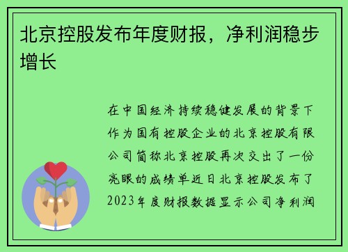 北京控股发布年度财报，净利润稳步增长