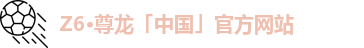 Z6·尊龙